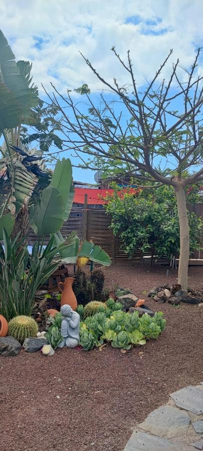 Beautiful Vintage Bungalow Wifi Parking. Las Galletas Exterior photo